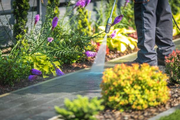 Best Driveway Pressure Washing  in Shiremanstown, PA